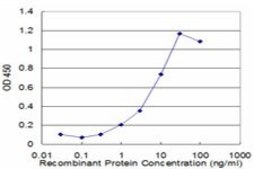 Monoclonal Anti-PGAM1 antibody produced in mouse clone 4F5-D8, purified immunoglobulin, buffered aqueous solution