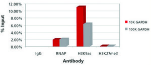 Imprint® Chromatin Immunoprecipitation Kit Complete ChIP reaction in 6 hours in flexible strip well format