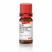 脱氧核苷酸混合物，10mM Molecular Biology Reagent