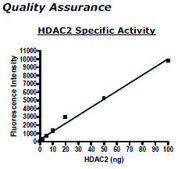 HDAC 2 His tag human recombinant, expressed in baculovirus infected insect cells, ≥80% (SDS-PAGE)