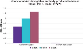 Monoclonal Anti-Myoglobin antibody produced in mouse clone MG-1, ascites fluid