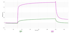 Anti-IL2RB Antibody, clone 4D2 ZooMAb® Rabbit Monoclonal recombinant, expressed in HEK 293 cells