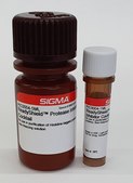 ReadyShield® Protease Inhibitor Cocktail for use in purification of Histidine-tagged proteins, Non-freezing solution