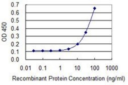 Monoclonal Anti-MRE11A antibody produced in mouse clone 3H4-F4, purified immunoglobulin, buffered aqueous solution