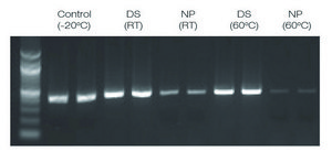 DNAstable® 96-well plate, for room temp preservation of DNA