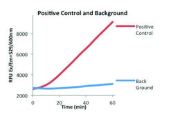 Lipase Activity Assay Kit III sufficient for 100 fluorometric&nbsp;tests