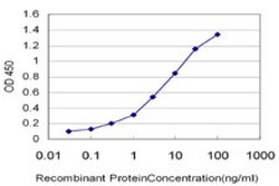 Monoclonal Anti-CD40 antibody produced in mouse clone 1G1, purified immunoglobulin, buffered aqueous solution