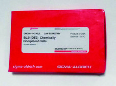 BL21(DE3) Chemically Competent Cells for protein expression