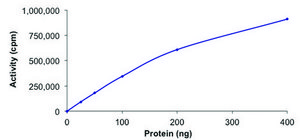 CHK1, active, His tagged human PRECISIO®, recombinant, expressed in baculovirus infected Sf9 cells, ≥70% (SDS-PAGE), buffered aqueous glycerol solution