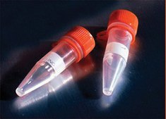 Corning® microcentrifuge tubes with screw cap 1.5 mL microcentrifuge tube, polypropylene, w/ attached screw cap, w/ 0-ring, sterile, natural, 500/cs