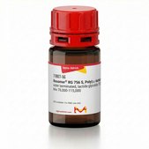 Resomer® RG 756 S, Poly(D,L-lactide-co-glycolide) ester terminated, lactide:glycolide 75:25, Mw 76,000-115,000