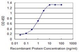 Monoclonal Anti-CDH2 antibody produced in mouse clone 5C8, purified immunoglobulin, buffered aqueous solution