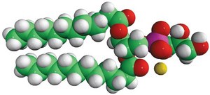 12:0 PG Avanti Research™ - A Croda Brand