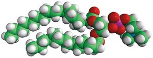 18:0-14:0 PC 1-stearoyl-2-myristoyl-sn-glycero-3-phosphocholine, chloroform