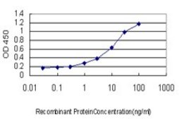 Monoclonal Anti-POLD4 antibody produced in mouse clone 2B11, ascites fluid