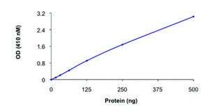 PTPRC (592-end), active, GST tagged from mouse recombinant, expressed in E. coli, ≥70% (SDS-PAGE), buffered aqueous glycerol solution
