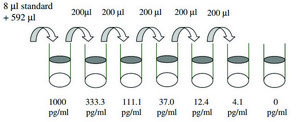 Human IL-7 ELISA Kit for serum, plasma, cell culture supernatant and urine