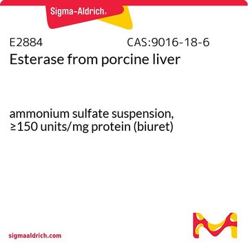 Esterase from porcine liver ammonium sulfate suspension, ≥150 units/mg protein (biuret)