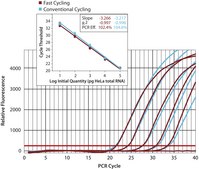 KiCqStart® SYBR® Green qPCR ReadyMix™ iQ™, with fluorescein for Bio-Rad systems