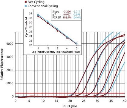 KiCqStart® SYBR® Green qPCR ReadyMix预混液™ with ROX™ for ABI instruments