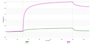 Anti-ARHGDIA Antibody, clone 1K12 ZooMAb® Rabbit Monoclonal recombinant, expressed in HEK 293 cells