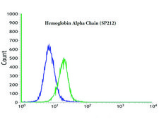 Anti-Haemoglobin Alpha Chain antibody, Rabbit monoclonal recombinant, expressed in proprietary host, clone SP212, affinity isolated antibody