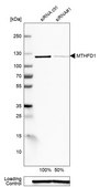 Anti-MTHFD1 antibody produced in rabbit Ab1, Prestige Antibodies® Powered by Atlas Antibodies, affinity isolated antibody, buffered aqueous glycerol solution