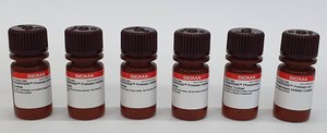 ReadyShield® Protease Inhibitor Cocktail For plant cell and tissue extracts, Non-freezing solution