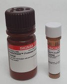 ReadyShield® Protease Inhibitor Cocktail for use with mammalian cell and tissue extracts, Non-freezing solution