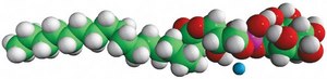 18:0 Lyso PI 1-stearoyl-2-hydroxy-sn-glycero-3-phosphoinositol (ammonium salt), powder