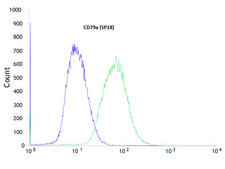 Anti-CD79A antibody, Rabbit monoclonal recombinant, expressed in proprietary host, clone SP18, tissue culture supernatant