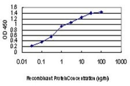 Monoclonal Anti-MAP3K1 antibody produced in mouse clone 2F6, purified immunoglobulin, buffered aqueous solution