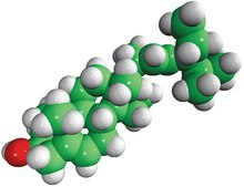 豆甾醇 Avanti Research™ - A Croda Brand