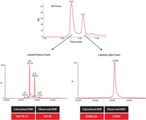 SILu™MAB 稳定同位素标记的通用单克隆抗体标准品 人 recombinant, expressed in CHO cells