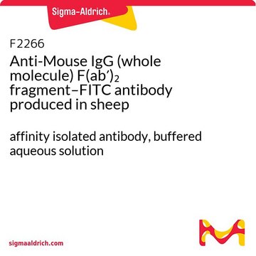 Anti-Mouse IgG (whole molecule) F(ab′)2 fragment–FITC antibody produced in sheep affinity isolated antibody, buffered aqueous solution