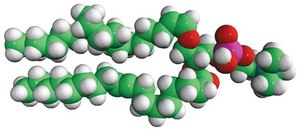 C18(Plasm)-18:1 PC Avanti Research™ - A Croda Brand