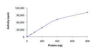 JNK2, active, GST tagged human PRECISIO® Kinase, recombinant, expressed in baculovirus infected Sf9 cells, ≥70% (SDS-PAGE), buffered aqueous glycerol solution