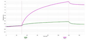Anti-Aromatase Antibody, clone 1D23 ZooMAb® Rabbit Monoclonal recombinant, expressed in HEK 293 cells