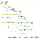 Akt1/PKBα Protein, active, 15 µg Active, recombinant full-length human Akt1, containing N-terminal His6 tag, for use in IP-Kinase Assays &amp; Kinase Assays.