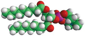 09:0 PC 1,2-dinonanoyl-sn-glycero-3-phosphocholine, powder