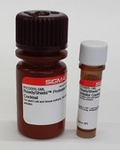 ReadyShield® Protease Inhibitor Cocktail For plant cell and tissue extracts, Non-freezing solution
