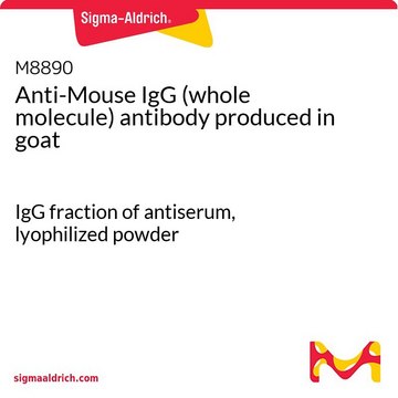 抗-小鼠 IgG（全分子） 山羊抗 IgG fraction of antiserum, lyophilized powder