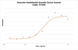 Vascular Endothelial Growth Factor human VEGF, recombinant, expressed in E. coli, powder, suitable for cell culture