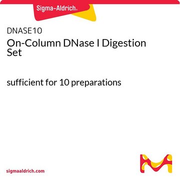 On-Column DNase I Digestion Set sufficient for 10 preparations
