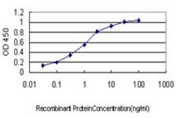 单克隆抗-TRPV1 小鼠抗 clone 1F5, purified immunoglobulin, buffered aqueous solution