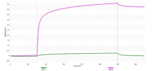 Anti-PLCG2 Antibody, clone 1L6 ZooMAb® Rabbit Monoclonal recombinant, expressed in HEK 293 cells