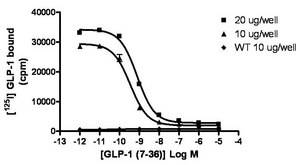 ChemiSCREEN Membrane Preparation Recombinant Human GLP-1 Human GLP-1 GPCR membrane preparation for Radioligand binding Assays &amp; GTPγS binding.