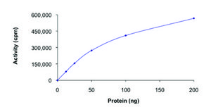 AMPK (α2/β2/γ2), active, His tagged human PRECISIO® Kinase, recombinant, expressed in baculovirus infected Sf9 cells, ≥70% (SDS-PAGE), buffered aqueous glycerol solution