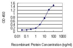 Monoclonal Anti-ABCC11 antibody produced in mouse clone 4H6, purified immunoglobulin, buffered aqueous solution