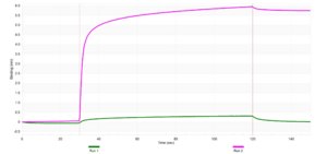 Anti-ST2/IL-33R Antibody, clone 1N22 ZooMAb® Rabbit Monoclonal recombinant, expressed in HEK 293 cells